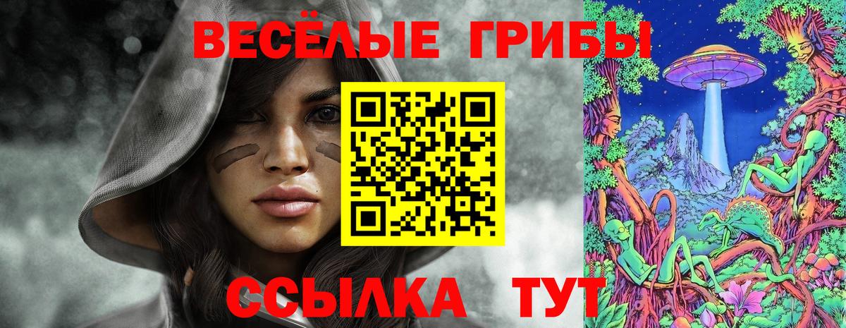 Мирный  Галлюциногенные грибы Psilocybe  Вход с VPN 