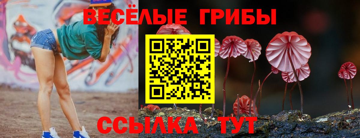 Галлюциногенные грибы ЛСД Мирный